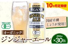 【10ヶ月定期便】 ジンジャーエール 250ml×30缶 光食品株式会社 定期 計10回お届け 《お申込み月の翌月から出荷開始》 徳島県 上板町 ジュース 炭酸水 光食品 ジンジャーエール オーガニック 有機 st-p