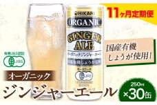【11ヶ月定期便】 ジンジャーエール 250ml×30缶 光食品株式会社 定期 計11回お届け 《お申込み月の翌月から出荷開始》 徳島県 上板町 ジュース 炭酸水 光食品 ジンジャーエール オーガニック 有機 st-p