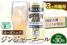 【3ヶ月隔月定期便】 ジンジャーエール 250ml×30缶 光食品株式会社 定期 隔月 計3回お届け 《お申込み月の翌月から出荷開始》 徳島県 上板町 ジュース 炭酸水 光食品 ジンジャーエール オーガニック 有機 st-p