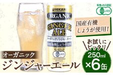 お試し オーガニック ジンジャーエール 250ml 6缶《30営業日以内に出荷予定(土日祝除く)》 徳島県 上板町 送料無料 ジュース 炭酸 飲料 ジンジャー 生姜 有機JAS認証 無糖 国産有機生姜使用 お取り寄せ おためし