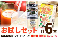 お試し ジンジャーエール 250ml × 4缶 野菜ジュース 125ml × 2本 《30日以内に出荷予定(土日祝除く)》 徳島県 上板町 送料無料 ジュース 炭酸 飲料 ジンジャー 生姜 有機JAS認証 無糖 国産有機生姜使用 野菜 有機野菜 お取り寄せ おためし