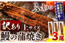 うなぎ 訳あり 鰻の蒲焼き 3尾 《7月上旬-7月中旬頃出荷》│ うなぎ 国産 うなぎ 訳あり サイズ不揃い 1尾100g以上 先行予約 土用の丑の日 選べる出荷時期 簡易包装 送料無料 徳島県 上板町