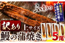 うなぎ 訳あり 鰻の蒲焼 5尾 《7月上旬-7月中旬頃出荷》│ うなぎ 国産 うなぎ 訳あり サイズ不揃い 1尾100g以上 先行予約 土用の丑の日 選べる出荷時期 簡易包装 送料無料 徳島県 上板町