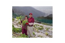 田口農園徳島の世界農業遺産ブランド野菜　 農家人が選ぶ旬野菜のおまかせセット【1381836】
