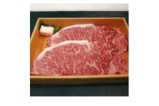 和一牛ステーキ用サーロイン500g　谷藤ファームおすすめ厳選ギフト【1461918】