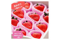 贈答用　化粧箱(小)2箱セット　『甘い大粒うえだ農園のイチゴ』＜恋みのり＞4L～5L×12玉【1381903】