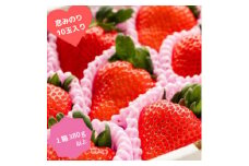 贈答用　化粧箱(小)　『甘い大粒うえだ農園のイチゴ』＜恋みのり＞6L×10玉入り【1379997】