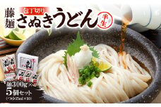 藤麺「包丁切りさぬき半生うどん」N-20【1603918】