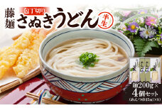 藤麺「包丁切りさぬき半生うどん」AN-20S【1603919】