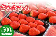 「さぬき讃フルーツ」さぬきひめ 　約500g＜令和8年1～3月発送＞【1608470】
