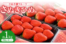 「さぬき讃フルーツ」さぬきひめ 　約1kg＜令和8年1～3月発送＞【1608472】