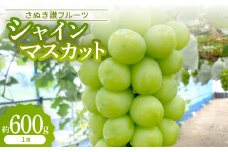 シャインマスカット　約600g＜2025年9月発送＞【1608473】