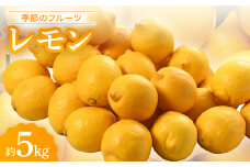 季節のフルーツ「レモン」約5kg＜令和7年11月～令和8年4月発送＞【1609440】