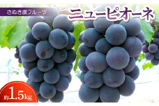 さぬき讃フルーツ「ニューピオーネ」約1.5kg ＜令和7年8～9月発送＞【1609802】