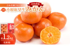 さぬき讃フルーツ「ハウス小原紅早生みかん(さぬき紅)」約1.2kg ＜令和7年7月発送＞【1609801】