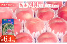 さぬき讃フルーツ「飯南のもも(白鳳・白桃系品種)」約6.4kg ＜令和7年7月発送＞【1609803】