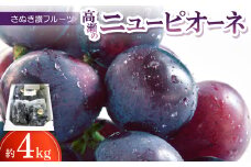 さぬき讃フルーツ「高瀬のニューピオーネ」約4kg ＜令和7年8～9月発送＞【1609807】