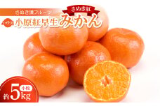 さぬき讃フルーツ「ハウス小原紅早生みかん(さぬき紅)」小粒約5kg ＜令和7年7月発送＞【1609810】
