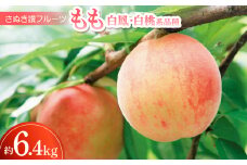 さぬき讃フルーツ「もも(白鳳・白桃系品種)」約6.4kg ＜令和7年7月発送＞【1609812】