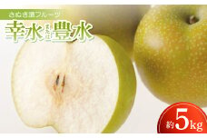 さぬき讃フルーツ「幸水または豊水」約5kg＜令和7年8月発送＞【1609818】