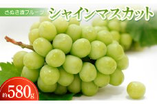さぬき讃フルーツ「シャインマスカット」約580g ＜令和7年7～9月発送＞【1609824】