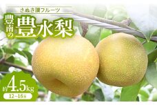 さぬき讃フルーツ「豊南の豊水梨」約4.5kg＜令和7年9月発送＞【1610121】