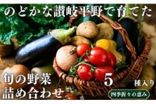 のどかな讃岐平野で育てた 旬の野菜 詰め合わせセット5種【1610457】