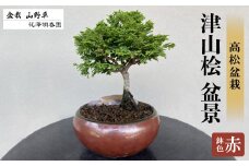 津山桧　盆景　〈赤鉢〉【1610964】