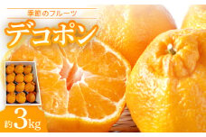 季節のフルーツ「デコポン」約3kg＜令和8年2～3月発送＞【1612339】
