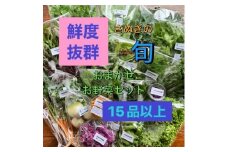 旬を楽しむTAGATAMEのおまかせお野菜セット(15品以上)【1632116】