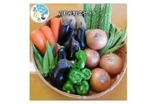 高松産野菜セット