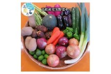 高松産充実野菜セット