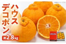 高松産季節の果物＜ハウスデコポン＞約2.8kg【2025年12月中旬～2026年3月中旬配送】