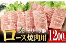 オリーブ 豚 ロース 焼肉 用 1200g ( 1200g × 1パック ) 5～7人前