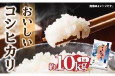 おいしいコシヒカリ約10kg