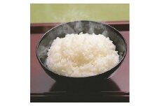 おいでまい・コシヒカリ食べ比べ各2kg