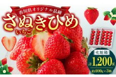 高松産季節の果物＜さぬきひめいちご化粧箱＞約400g×3箱【2025年2月上旬～2025年4月下旬配送】