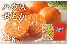 ハウスせとか　約2.8kg【2026年1月下旬～2026年2月下旬配送】