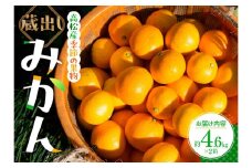 高松産季節の果物＜蔵出しみかん＞約4.6kg×2箱【2026年1月下旬～2026年3月下旬配送】