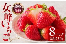 高松産季節の果物＜希少品種　女峰いちご＞約250g×8パック入り【2025年1月中旬～2025年6月中旬配送】