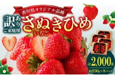 訳あり ご家庭用 さぬきひめいちご(約250g×8パック)【2025年2月上旬～2025年5月中旬配送】