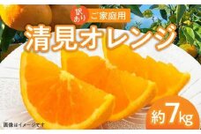 訳あり ご家庭用 清見オレンジ 約7kg【2026-3月中旬～2026-4月上旬配送】