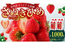 さぬきひめいちご4パック(各約250g)【2025年1月中旬～2025年5月中旬配送】