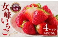 希少品種　女峰いちご4パック(各約250g)【2025年1月中旬～2025年6月上旬配送】