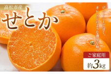 ご家庭用　せとか　約3kg【2026年2月中旬～2026年3月下旬配送】