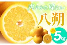 爽やかな味わい 八朔 約5kg【2026年2月中旬～2026年3月下旬配送】