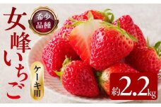 希少ないちご ケーキ用 女峰いちご 約2.2kg【2025年1月上旬～2025年5月下旬配送】