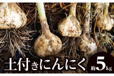 土付きにんにく 約5kg【2025-5月上旬～2025-6月中旬配送】
