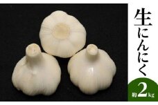 生にんにく 約2kg【2025-5月上旬～2025-6月上旬配送】