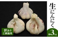 訳あり ご家庭用 生にんにく 約3kg【2025-5月上旬～2025-6月上旬配送】